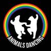 メルボルン発のパーティー/レーベルAnimals Dancing