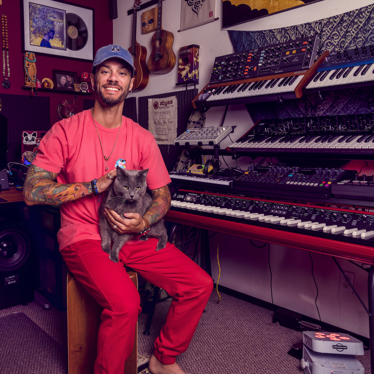 特集 | Coflo特集 - | Record CD Online Shop JET SET / レコード・CD