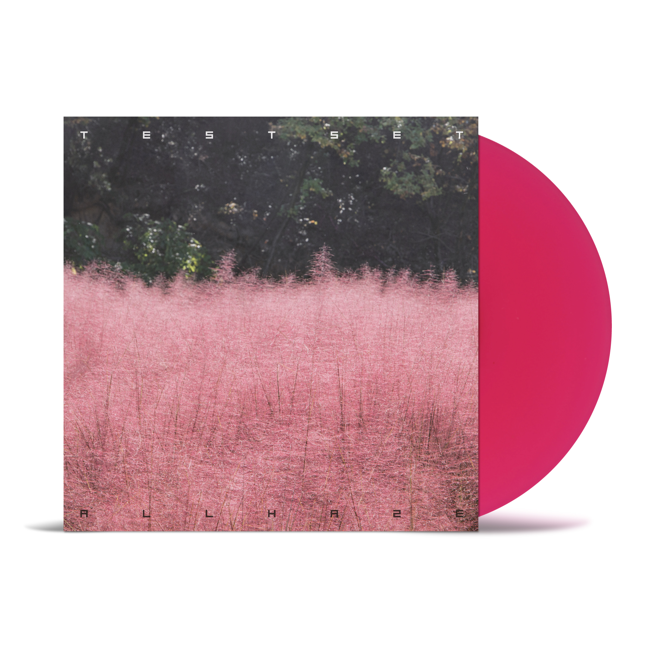 News | 2026-02-05 - 【Record Store Day 2026限定盤】TESTSETの2nd